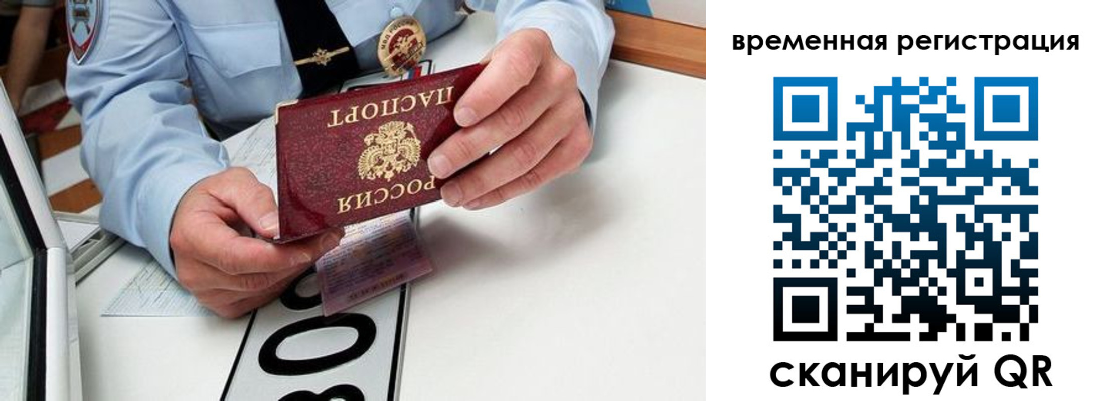 прописка гарантия в Щучье